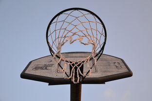 爱游戏app下载-NBA联盟与高校篮球合作开发机制研究，大学篮球联盟叫什么
