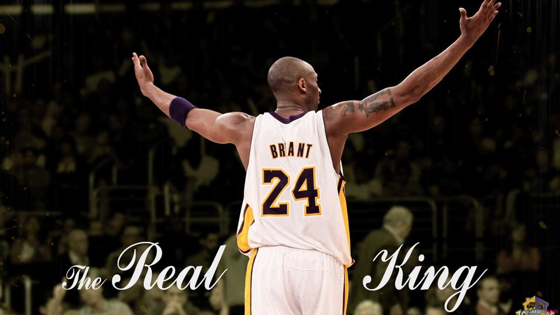 “未来之星”青少年篮球素质提升工程在北京全面推广，打造青训新高地