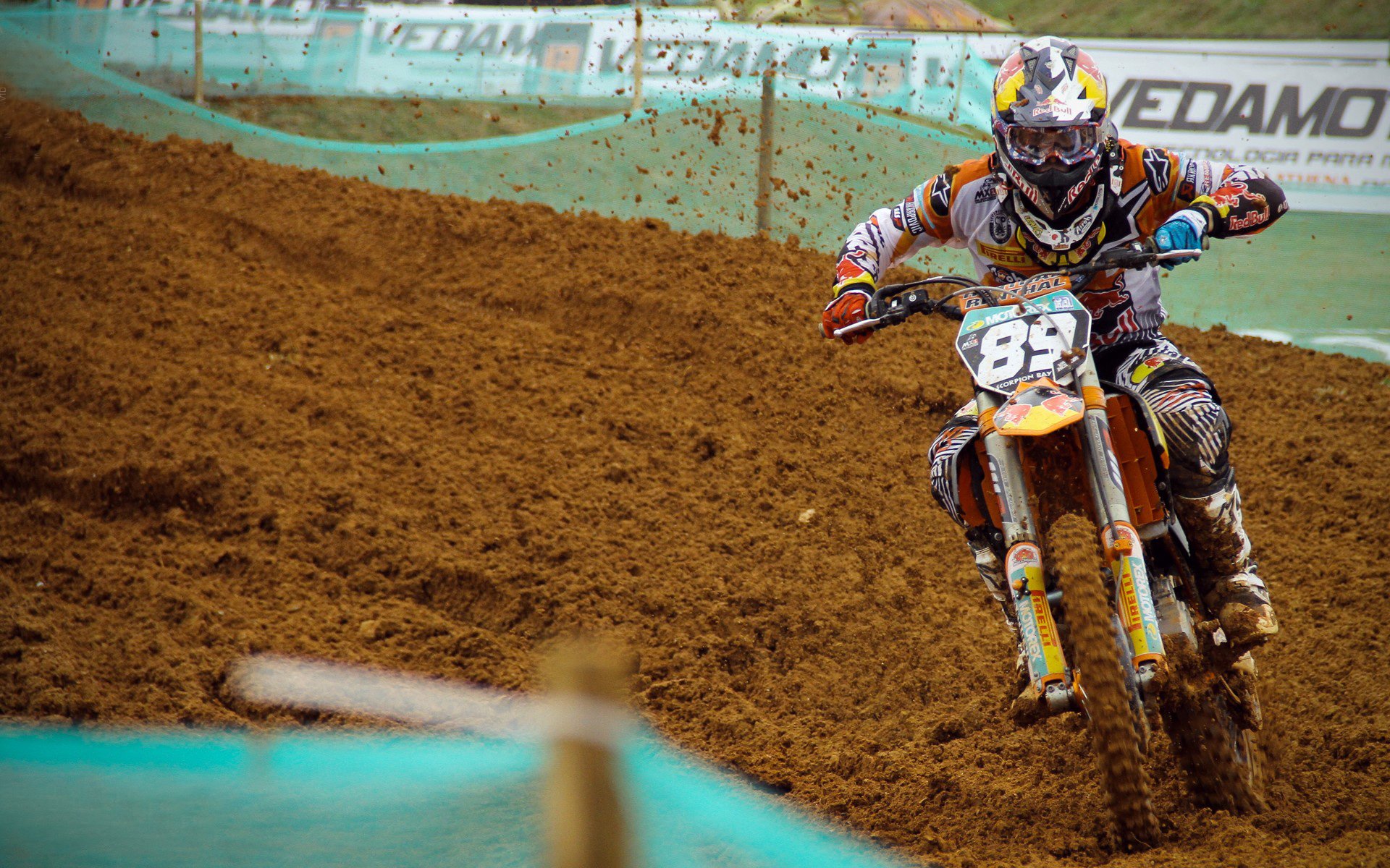 社交媒体互动:车迷投票选出最喜欢的赛季瞬间,车迷爱好者介绍